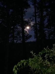 Moonlight sonata at Lake Powhatan